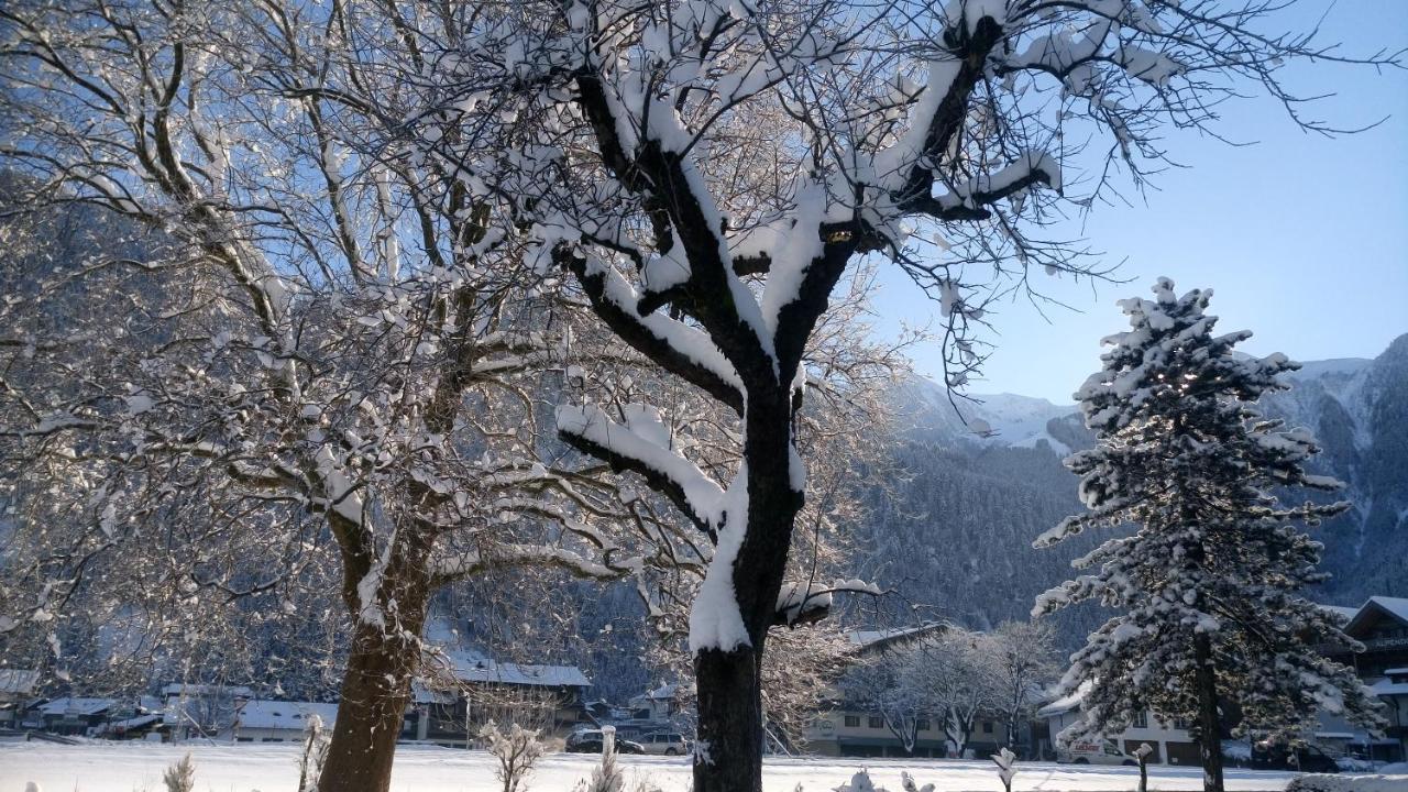 Hotel Garni Birkenhof マイヤーホーフェン エクステリア 写真
